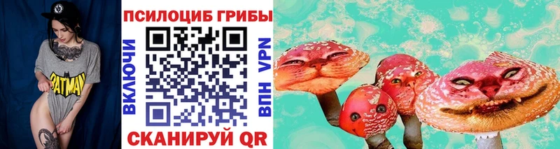 цены наркотик  Фрязино  Галлюциногенные грибы мухоморы 